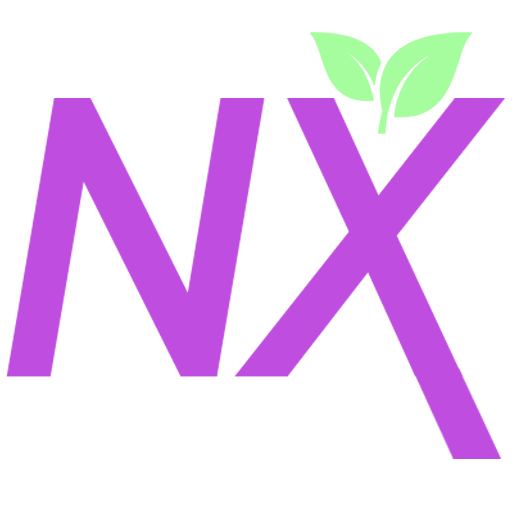 NX Logo